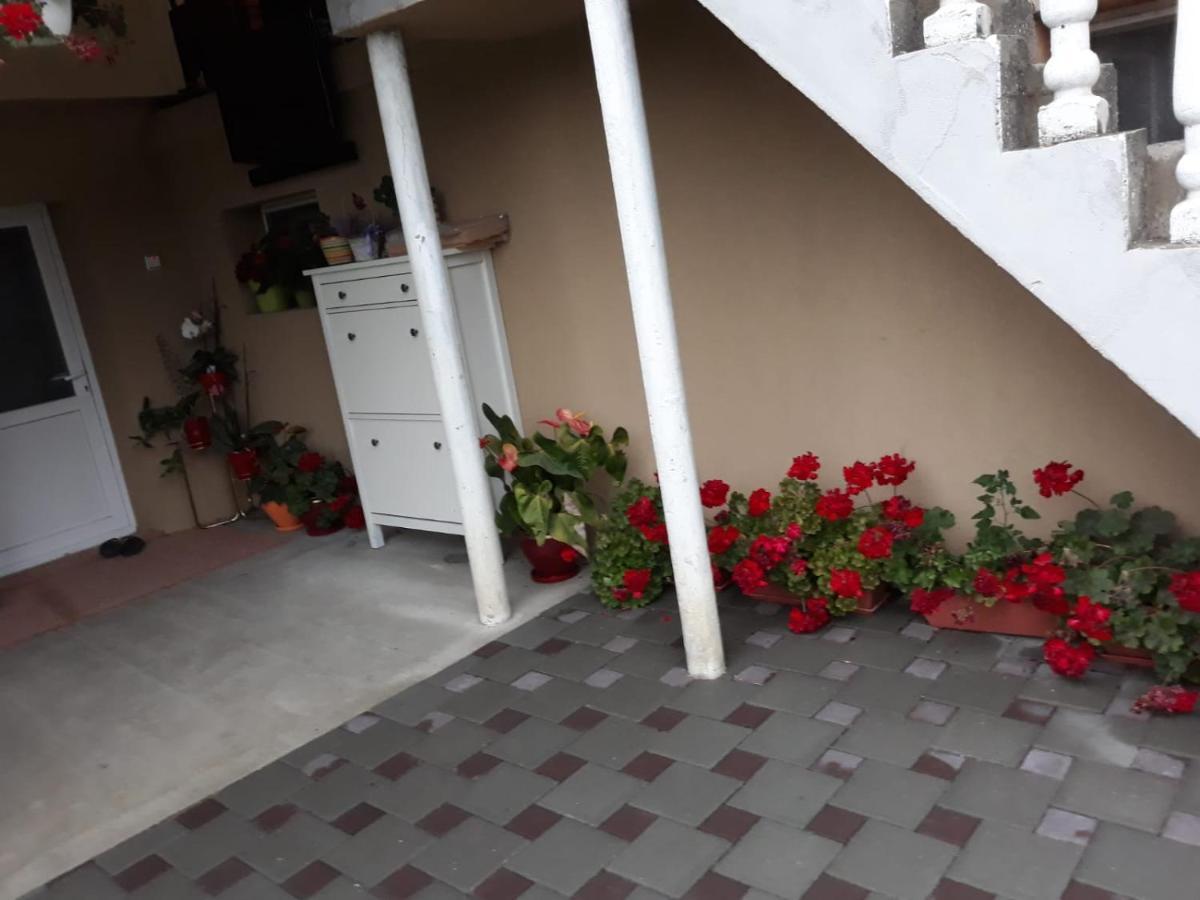 Casa Sannicolau Bed & Breakfast Sinnicolau Mare ภายนอก รูปภาพ