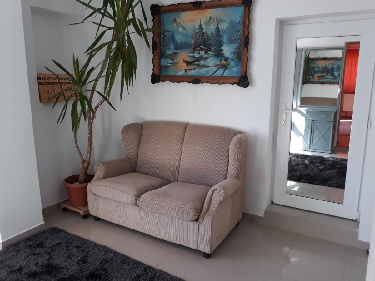 Casa Sannicolau Bed & Breakfast Sinnicolau Mare ภายนอก รูปภาพ